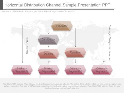 Horizontal Distribution Channel PowerPoint Presentation and Slides PPT ...
