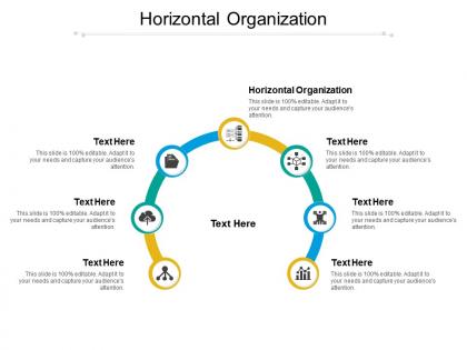 Horizontal organization ppt powerpoint presentation ideas graphics example cpb