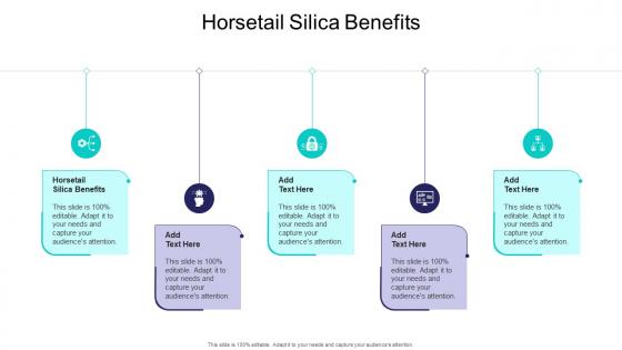 Horsetail Silica Benefits In Powerpoint And Google Slides Cpb