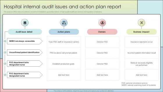 Hospital Internal Audit Issues And Action Plan Report
