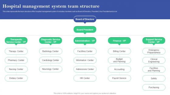 Hospital Management System Team Structure Online And Offline Marketing Plan For Hospitals