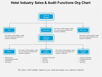 Hotel industry sales and audit functions org chart