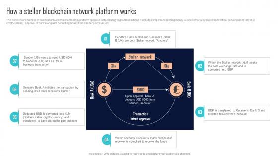How A Stellar Blockchain Network Platform Works Comprehensive Evaluation BCT SS
