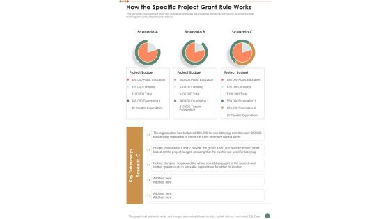 How The Specific Project Grant Rule Works One Pager Sample Example Document