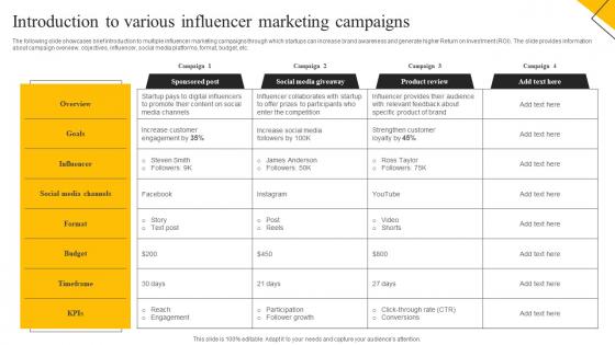How To Create Cost Effective Introduction To Various Influencer Marketing Campaigns MKT SS V