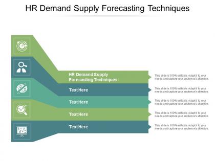 Hr demand supply forecasting techniques ppt powerpoint presentation portfolio ideas cpb