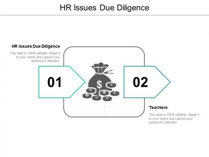 Hr issues due diligence ppt powerpoint presentation styles introduction cpb