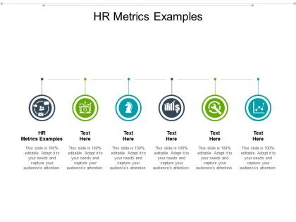 Hr metrics examples ppt powerpoint presentation infographic template graphic images cpb