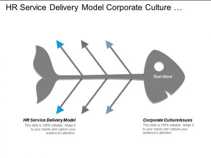 Hr service delivery model corporate culture issues financial modeling cpb