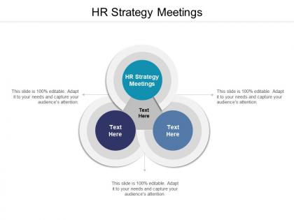 Hr strategy meetings ppt powerpoint presentation outline pictures cpb