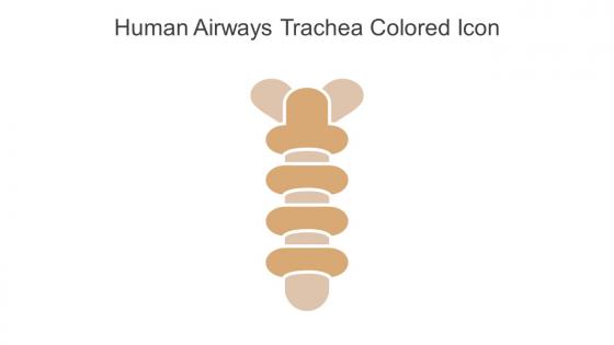 Human Airways Trachea Colored Icon In Powerpoint Pptx Png And Editable Eps Format