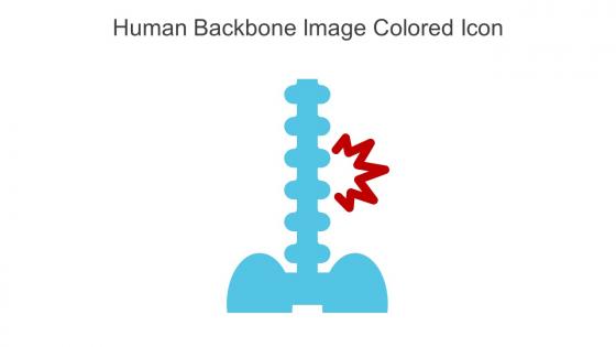 Human Backbone Image Colored Icon In Powerpoint Pptx Png And Editable Eps Format