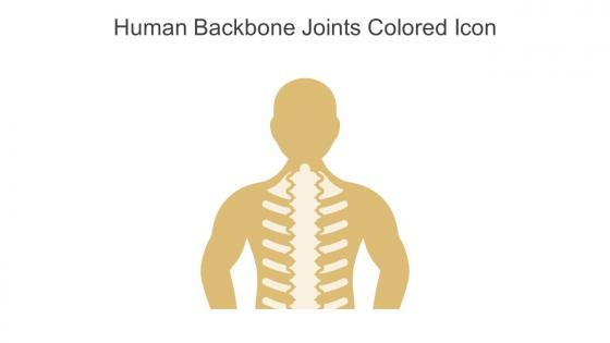 Human Backbone Joints Colored Icon In Powerpoint Pptx Png And Editable Eps Format
