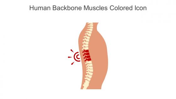 Human Backbone Muscles Colored Icon In Powerpoint Pptx Png And Editable Eps Format