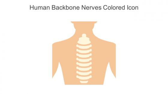 Human Backbone Nerves Colored Icon In Powerpoint Pptx Png And Editable Eps Format