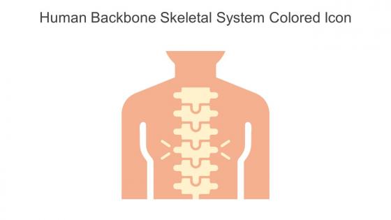 Human Backbone Skeletal System Colored Icon In Powerpoint Pptx Png And Editable Eps Format