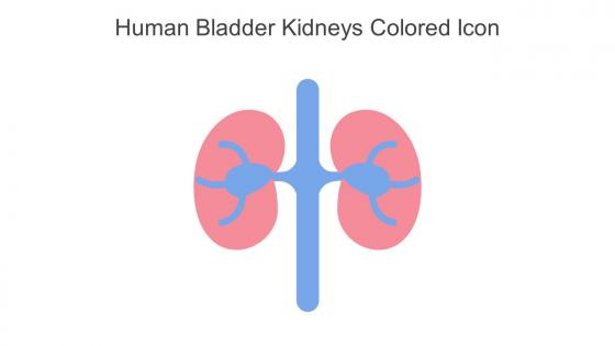 Human Bladder Kidneys Colored Icon In Powerpoint Pptx Png And Editable Eps Format