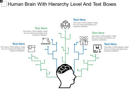Human brain with hierarchy level and text boxes