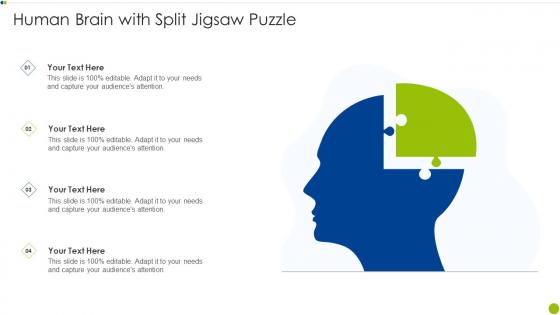 Human Brain With Split Jigsaw Puzzle