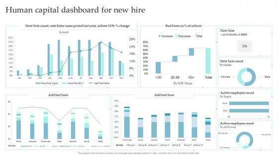 Human Capital Dashboard For New Hire