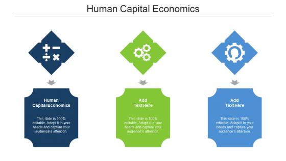 Human Capital Economics Ppt Powerpoint Presentation Layouts Samples Cpb