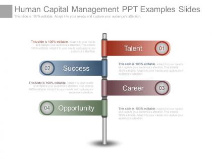 Human capital management ppt examples slides