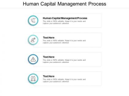 Human capital management process ppt powerpoint presentation styles smartart cpb