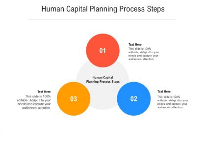 Human capital planning process steps ppt powerpoint presentation infographic template maker cpb