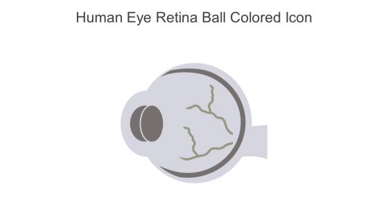 Human Eye Retina Ball Colored Icon In Powerpoint Pptx Png And Editable Eps Format