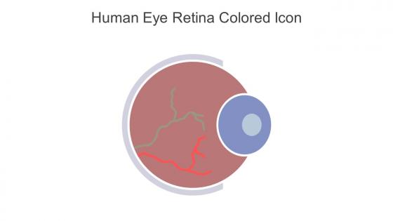 Human Eye Retina Colored Icon In Powerpoint Pptx Png And Editable Eps Format