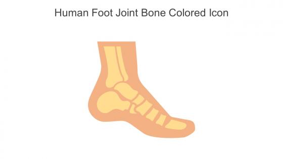 Human Foot Joint Bone Colored Icon In Powerpoint Pptx Png And Editable Eps Format