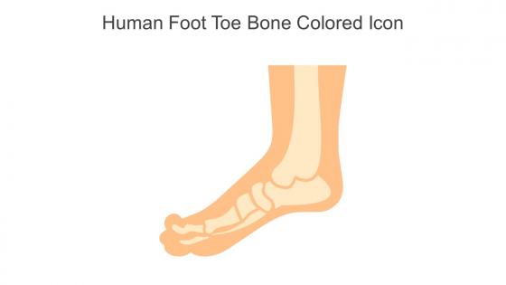 Human Foot Toe Bone Colored Icon In Powerpoint Pptx Png And Editable Eps Format