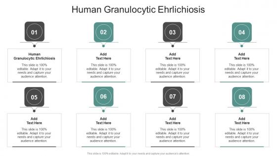 Human Granulocytic Ehrlichiosis In Powerpoint And Google Slides Cpb