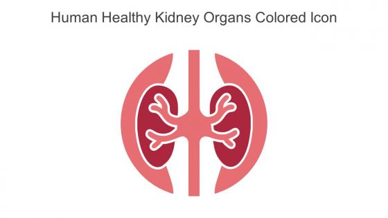 Human Healthy Kidney Organs Colored Icon In Powerpoint Pptx Png And Editable Eps Format