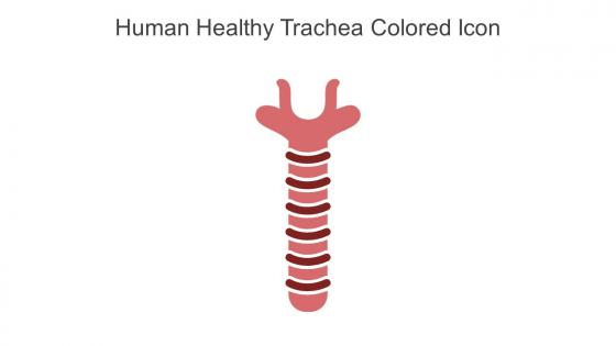 Human Healthy Trachea Colored Icon In Powerpoint Pptx Png And Editable Eps Format