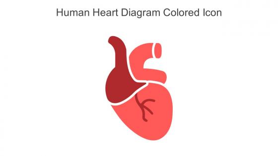 Human Heart Diagram Colored Icon In Powerpoint Pptx Png And Editable Eps Format