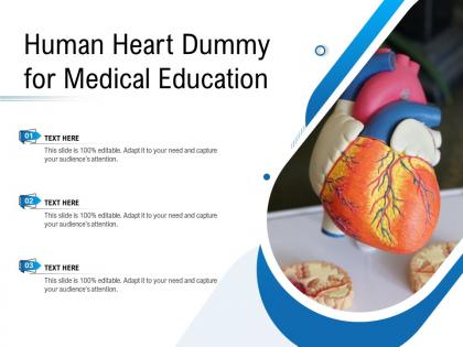 Human heart dummy for medical education
