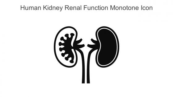 Human Kidney Renal Function Monotone Icon In Powerpoint Pptx Png And Editable Eps Format