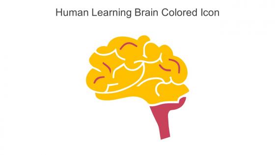 Human Learning Brain Colored Icon In Powerpoint Pptx Png And Editable Eps Format