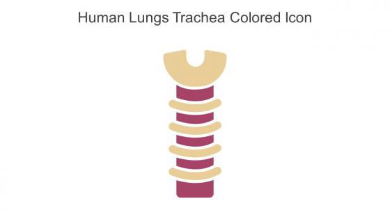 Human Lungs Trachea Colored Icon In Powerpoint Pptx Png And Editable Eps Format