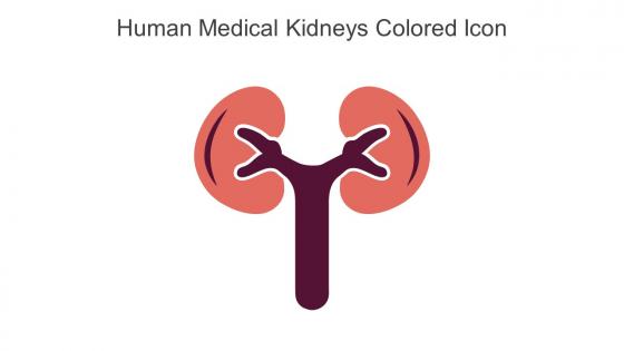 Human Medical Kidneys Colored Icon In Powerpoint Pptx Png And Editable Eps Format