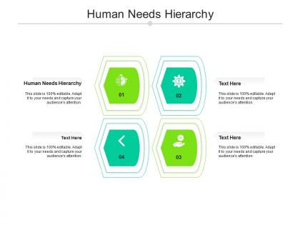 Human needs hierarchy ppt powerpoint presentation infographic template display cpb