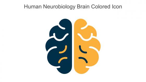 Human Neurobiology Brain Colored Icon In Powerpoint Pptx Png And Editable Eps Format