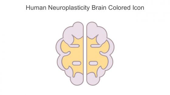 Human Neuroplasticity Brain Colored Icon In Powerpoint Pptx Png And Editable Eps Format