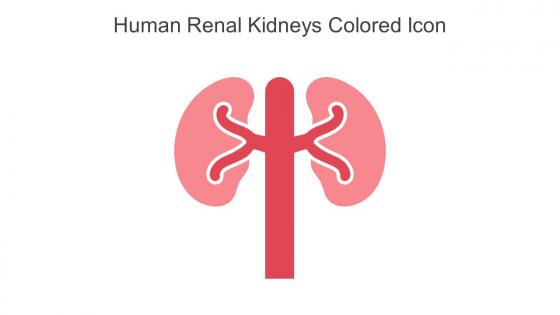 Human Renal Kidneys Colored Icon In Powerpoint Pptx Png And Editable Eps Format