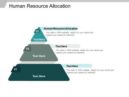 Human resource allocation ppt powerpoint presentation ideas graphics pictures cpb