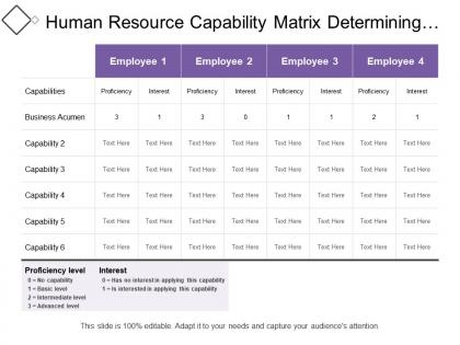 Human resource capability matrix determining proficiency level of employees as per business capability
