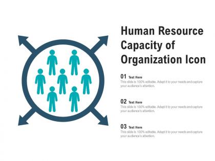 Human resource capacity of organization icon