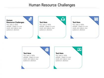 Human resource challenges ppt powerpoint presentation infographic template graphic images cpb