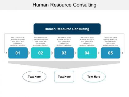 Human resource consulting ppt powerpoint presentation slides elements cpb
